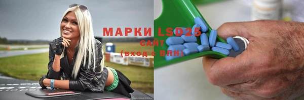 прущие грибы Горняк