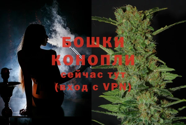 СК Горнозаводск