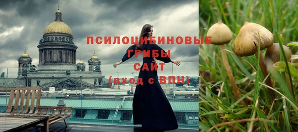 прущие грибы Горняк