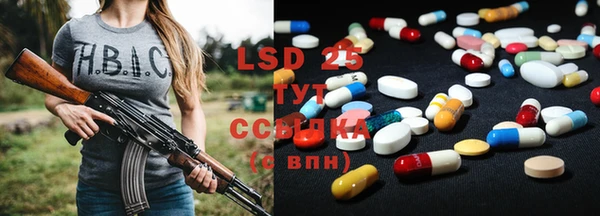прущие грибы Горняк