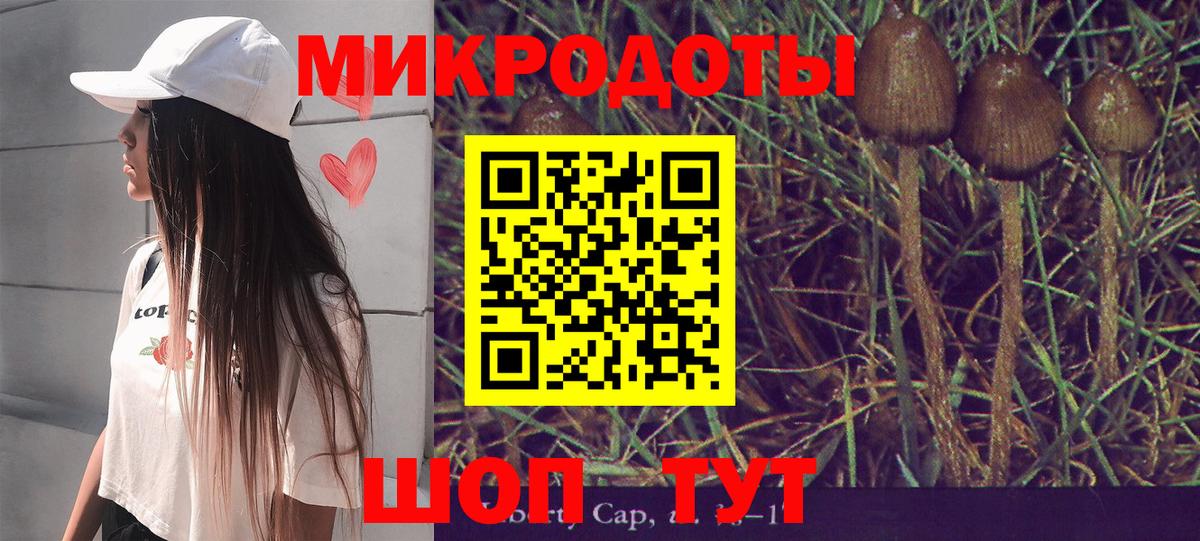 Галлюциногенные грибы MAGIC MUSHROOMS  Галлюциногенные грибы Magic Shrooms  цена   Вольск 