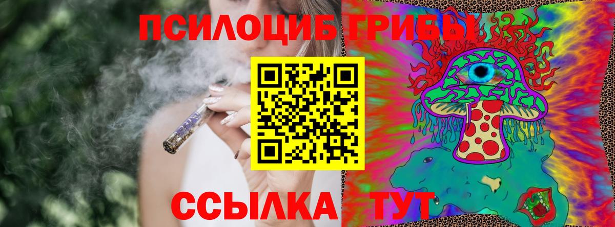 Псилоцибиновые грибы GOLDEN TEACHER Вольск