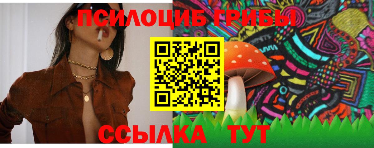 Псилоцибиновые грибы прущие грибы Вольск
