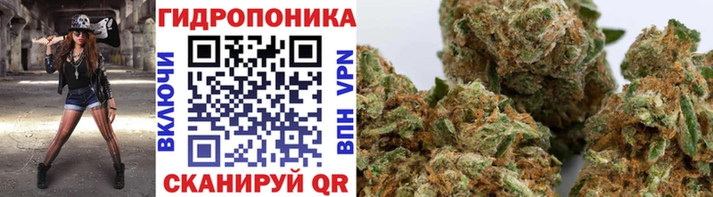МАРИХУАНА White Widow  МЕГА ONION  Вольск  закладки 