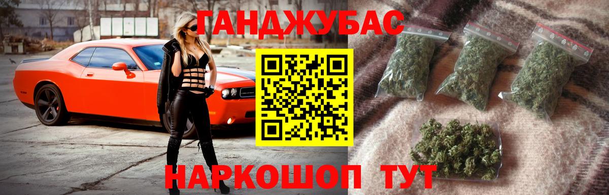 Каннабис сатива Вольск