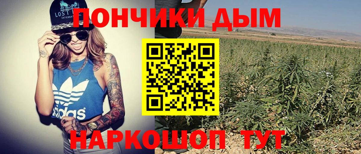 Канабис OG Kush  Вольск  Конопля VHQ  Каннабис MAZAR 